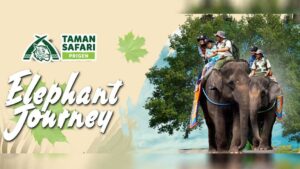 Taman Safari Prigen