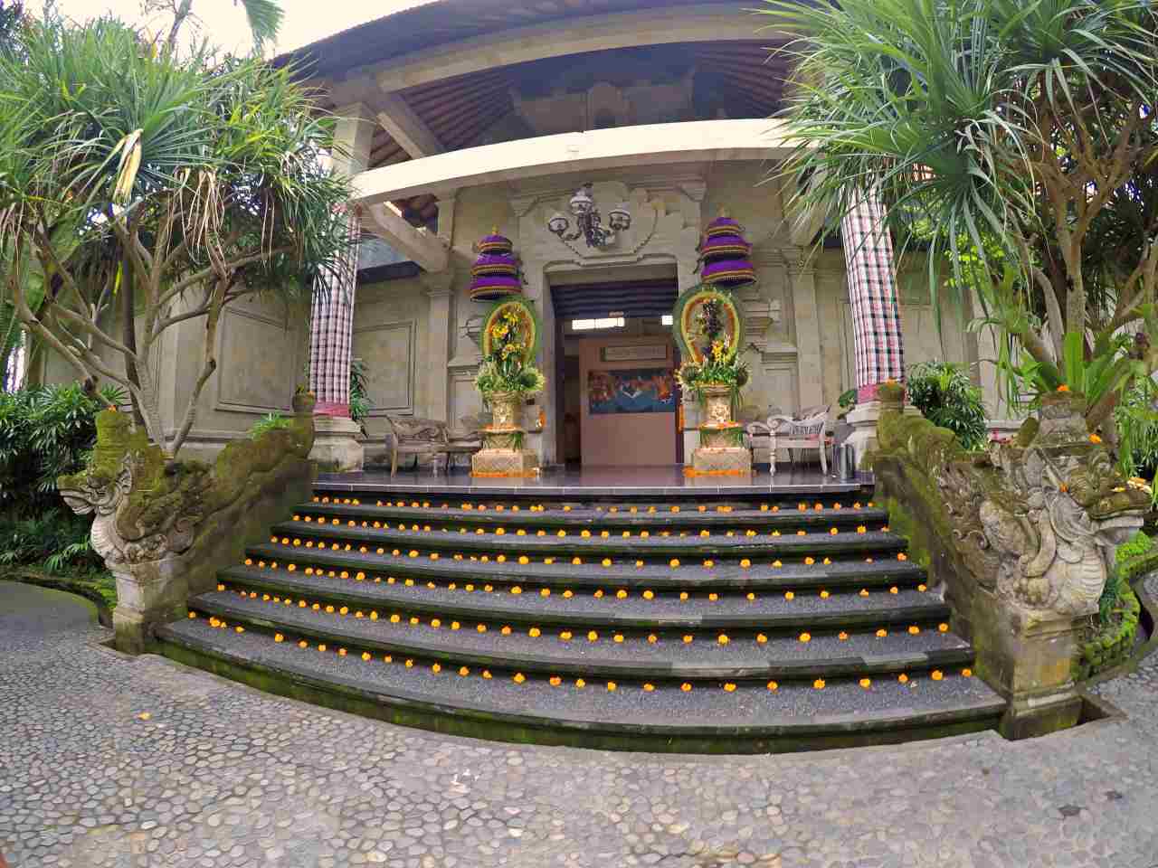 museum building 