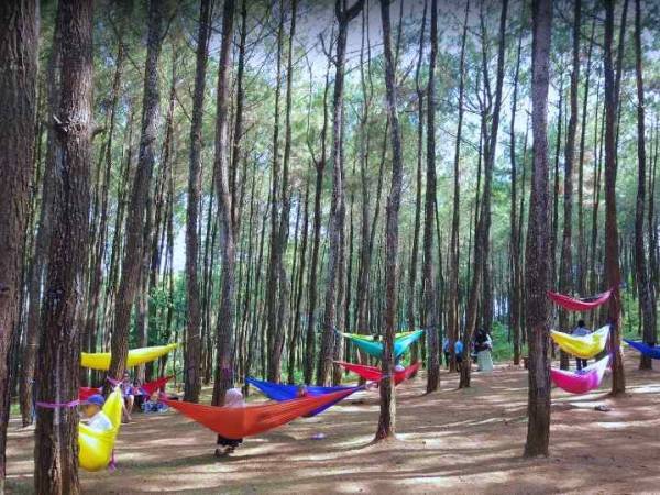 Hammock Becici