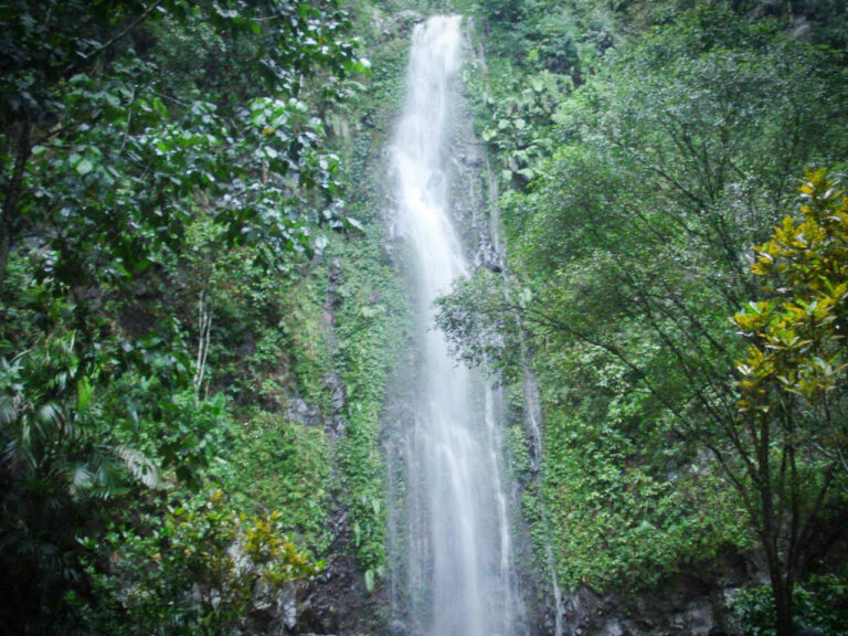Air terjun Tlogo Muncar