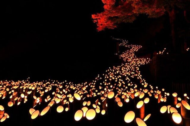 Bambu Light Festival