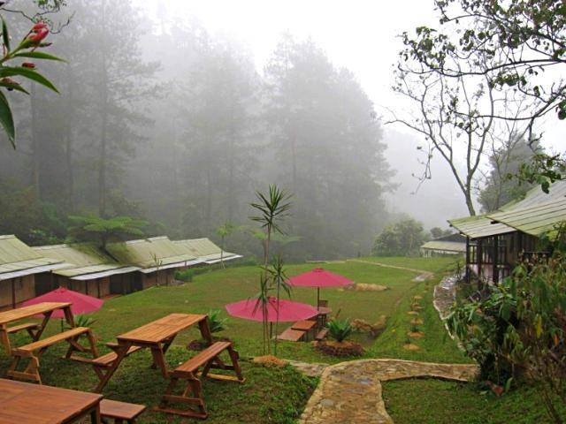 D'jungle Private Camp