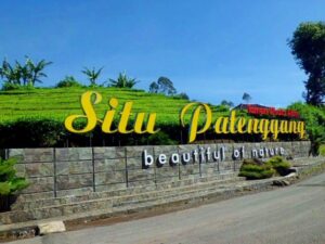 Situ Patenggang