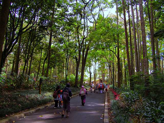 Taman Hutan Raya Juanda