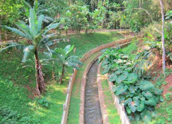 Sungai Tahura
