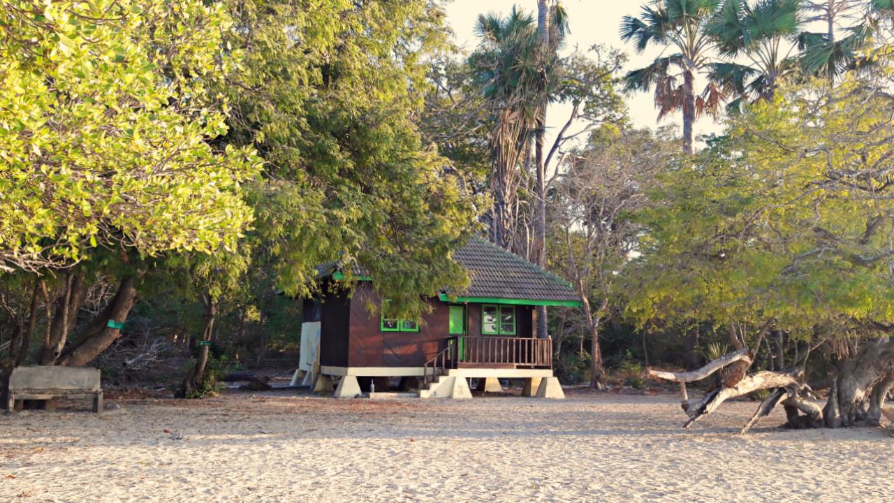 Bama Beach Guesthouse at Baluran National Park 
