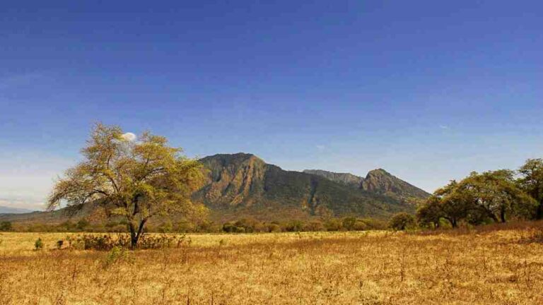 Baluran National Park, The Savanna