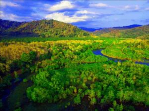 Meru Betiri National Park