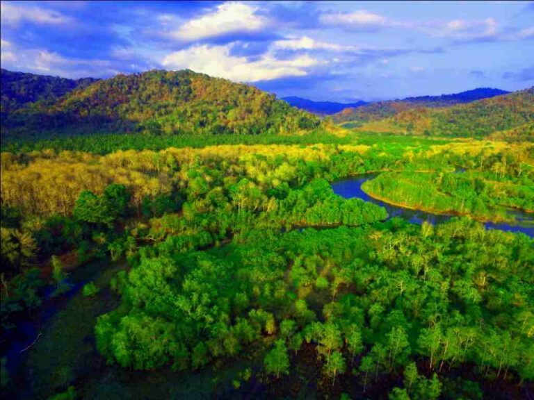 Meru Betiri National Park