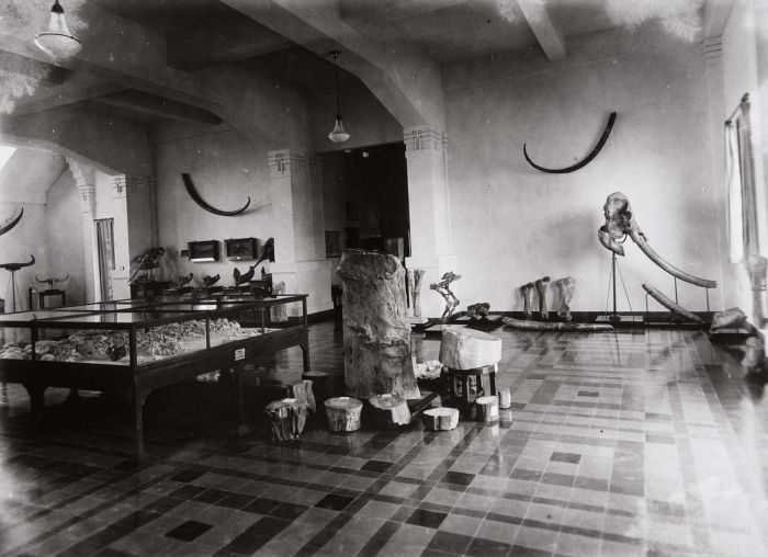 sejarah museum geologi bandung