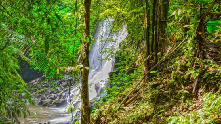 Kanto Lampo Waterfall, Gianyar