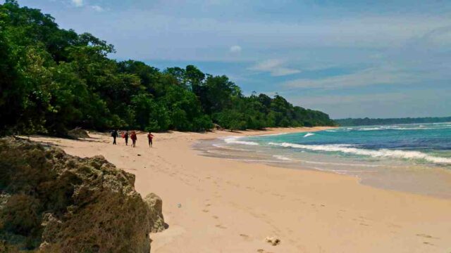 G Land Plengkung Beach