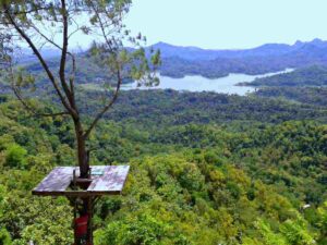 Kalibiru National Park