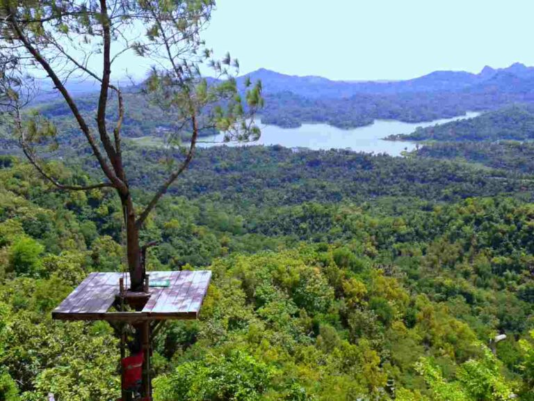 Kalibiru National Park