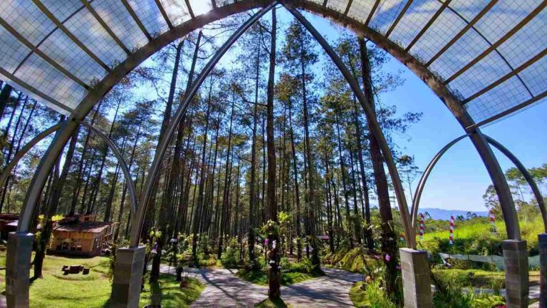 Orchid Forest Cikole Bandung
