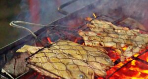 grilled prawn nakula night market