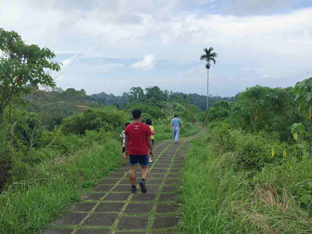 campuhan ridge walk 