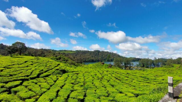 patenggang lake, ciwidey