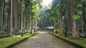 the temples at sangeh