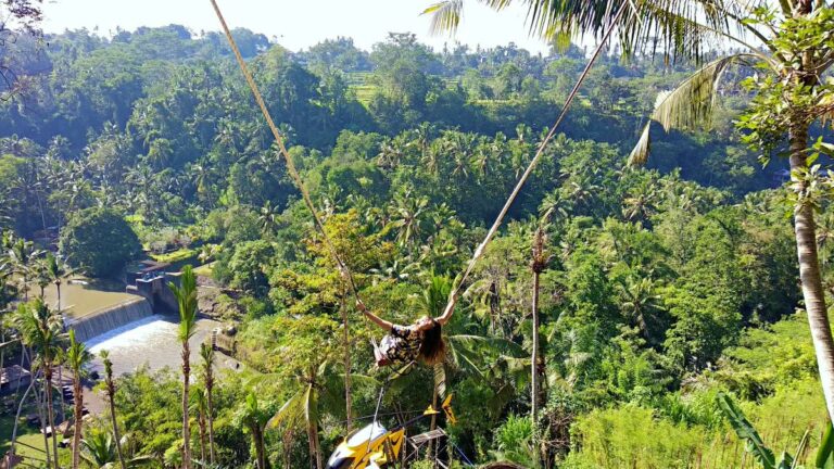 bali swing spot