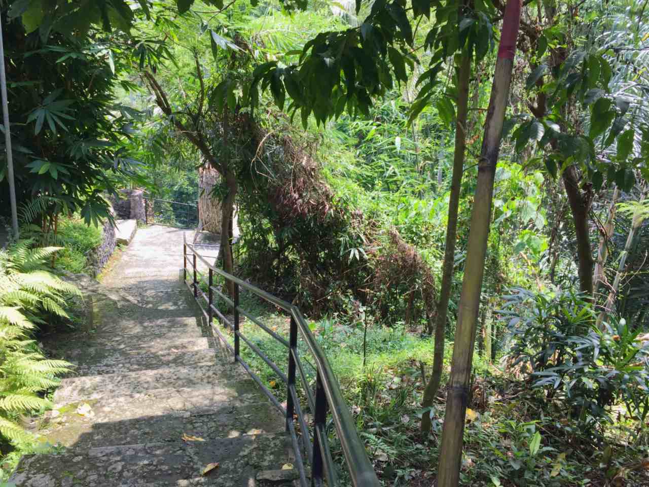 stone path with hand rail 