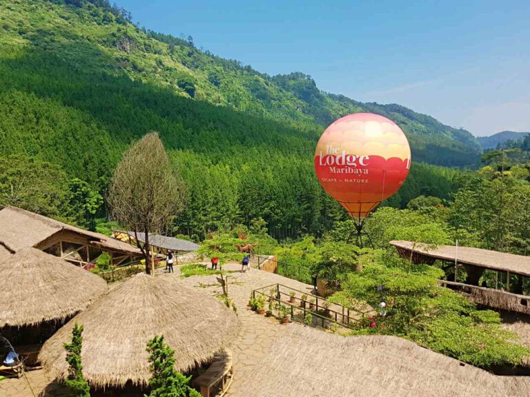 hot air balloon