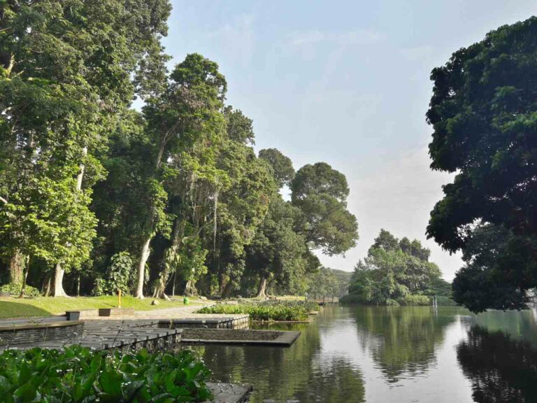 gunting pond