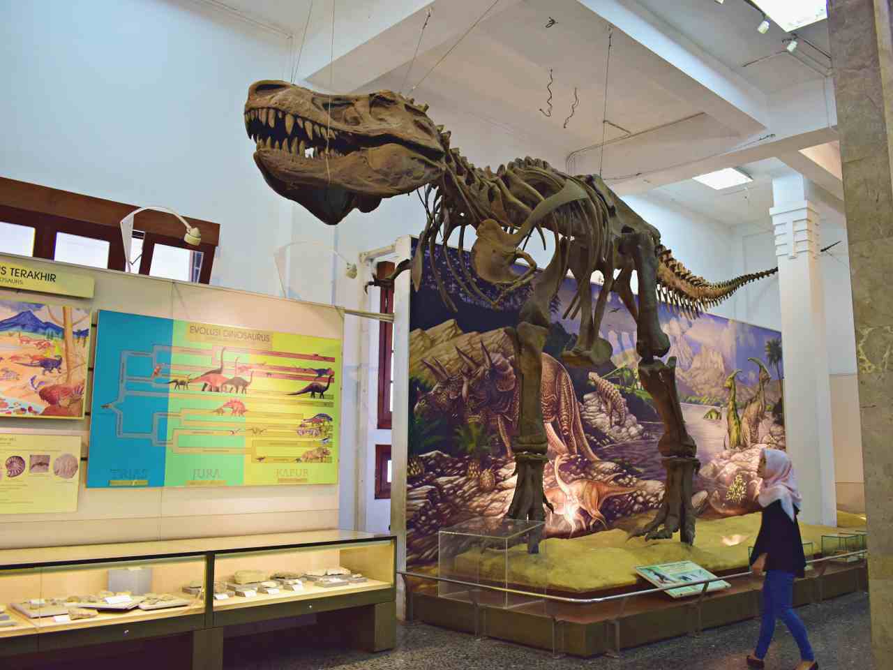 T-rex fossil 