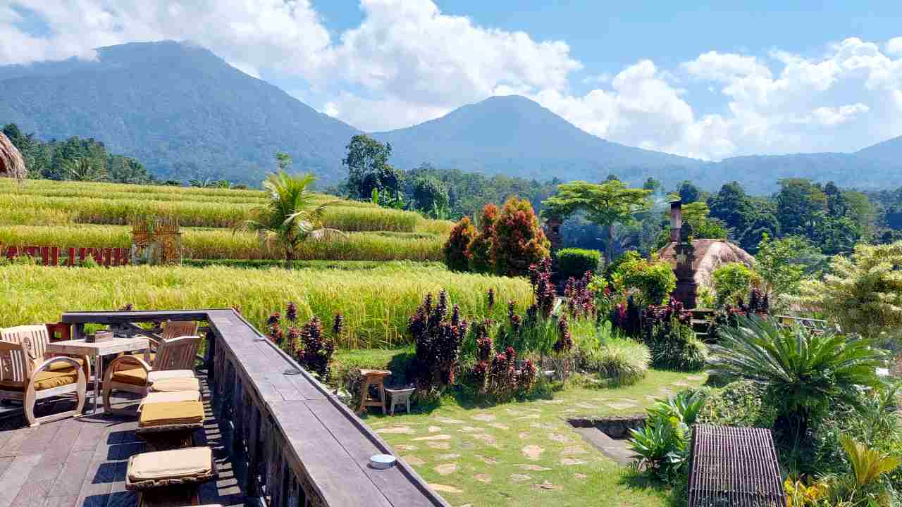 restaurant overlooking paddy fields 