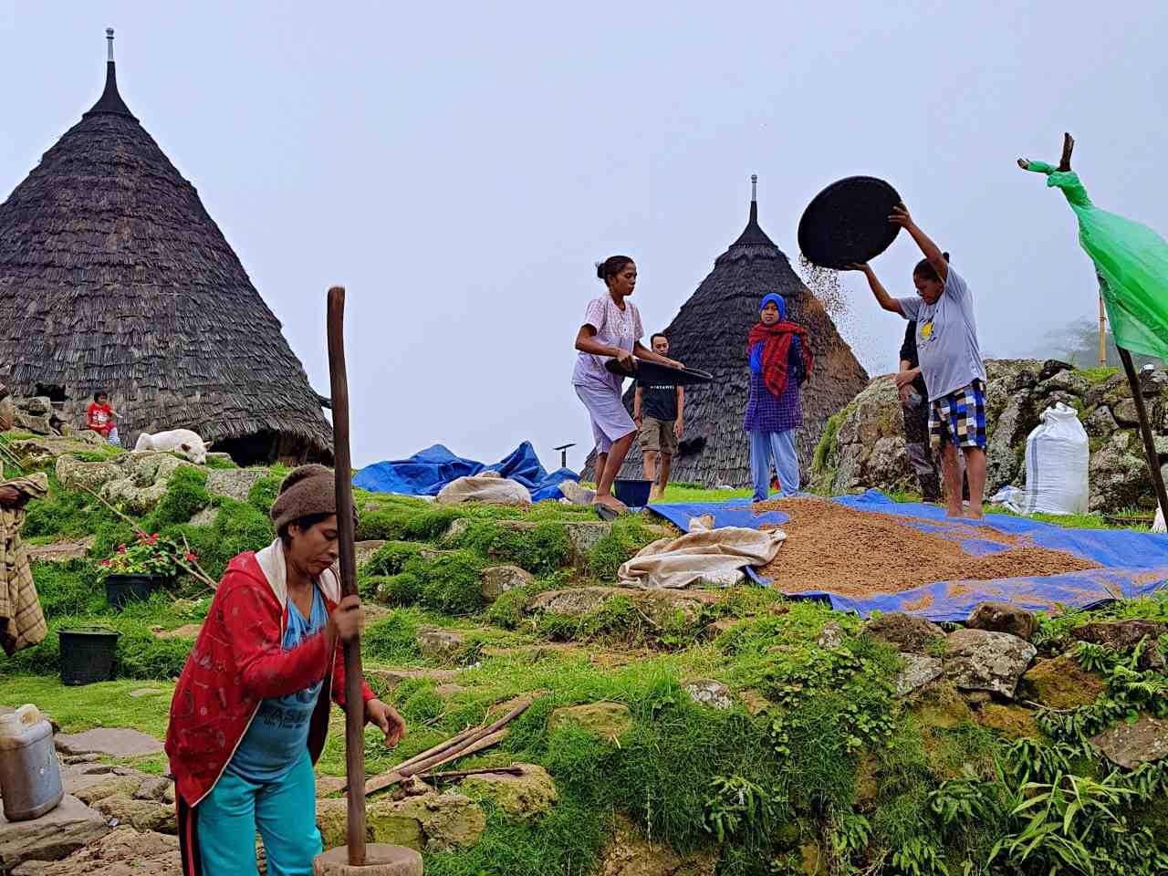 wae rebo village daily activity