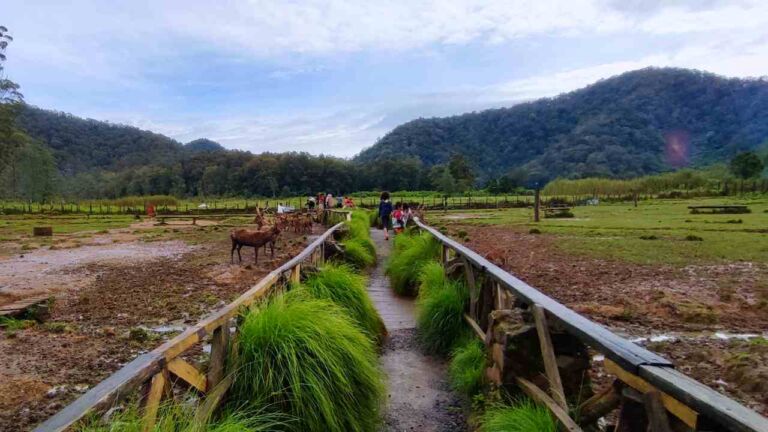 ranca upas bandung