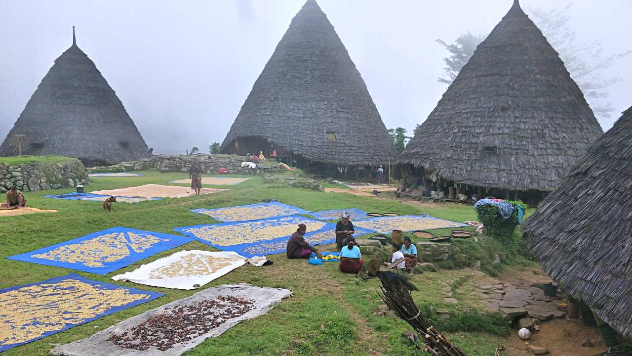 village comodities 