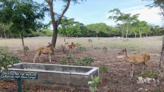 west bali national park