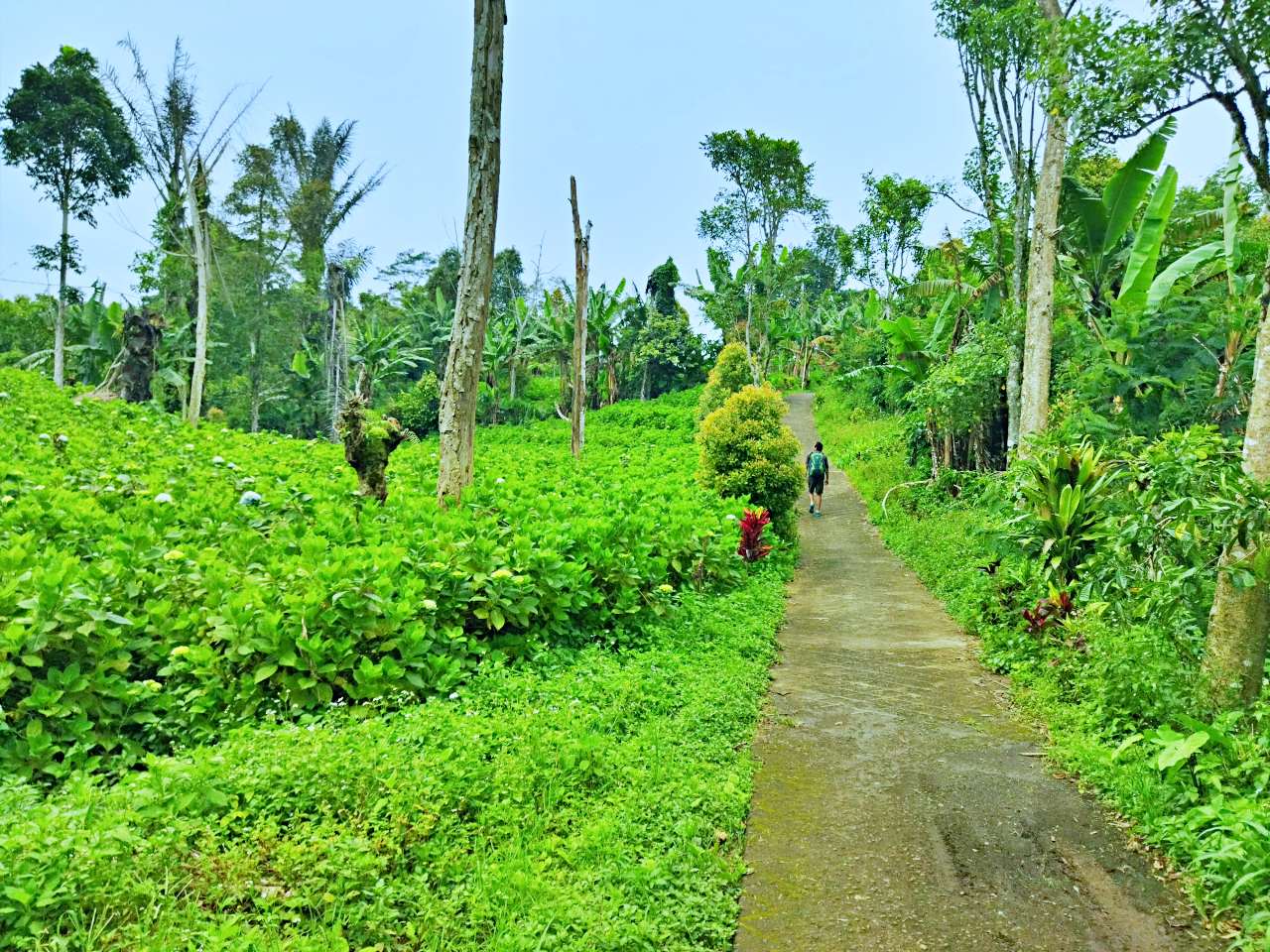 walking path to banyumala waterfall 