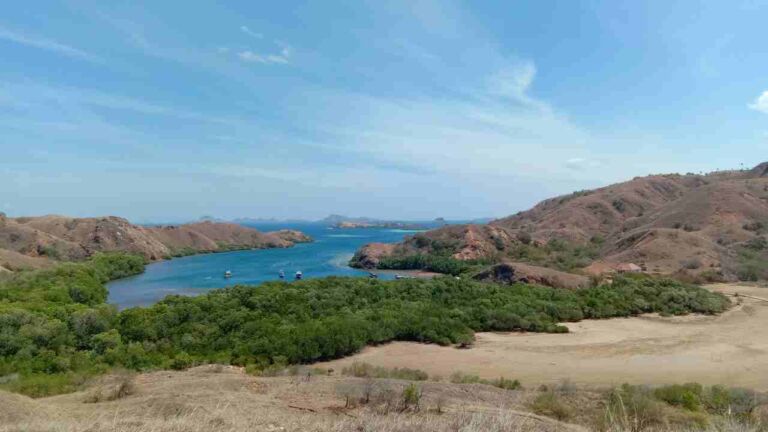 rinca island, komodo national park