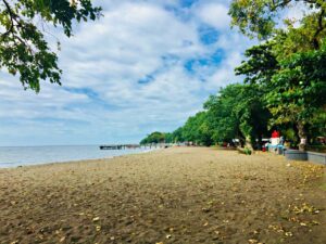 lovina beach shoreline