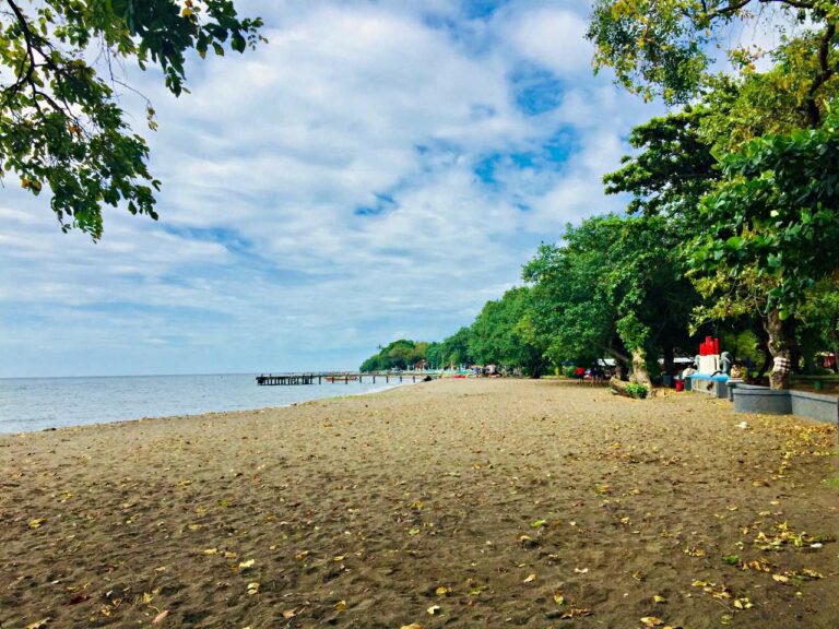 lovina beach shoreline