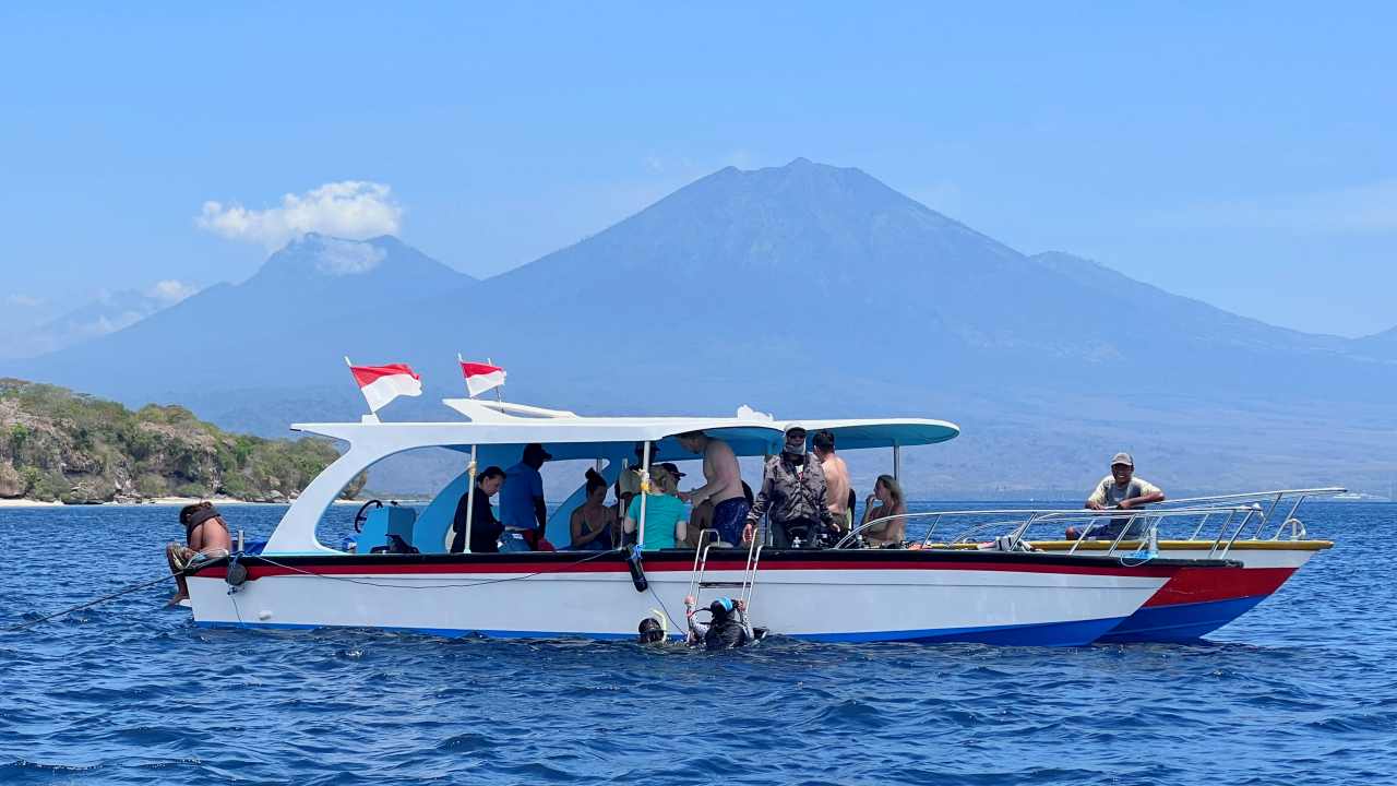 menjangan island diving site