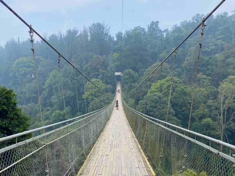 situ gunung suspension bridge
