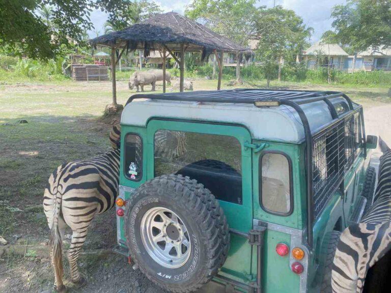 bali safari journey