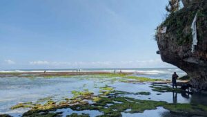 sundak beach yogyakarta