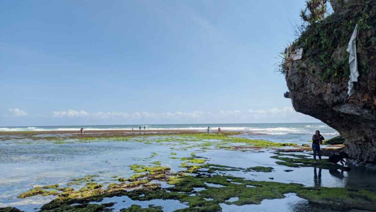 sundak beach yogyakarta