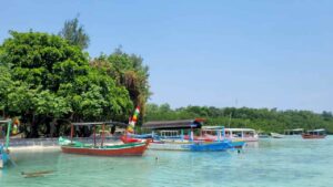 snorkeling boats in pari island