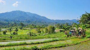 sidemen valley east bali