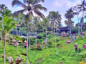 alas harum rice terrace